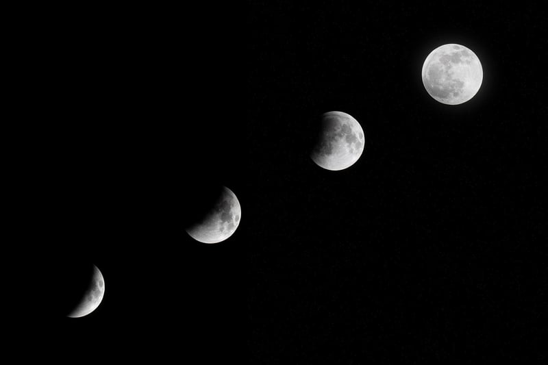 Moon Phase Top